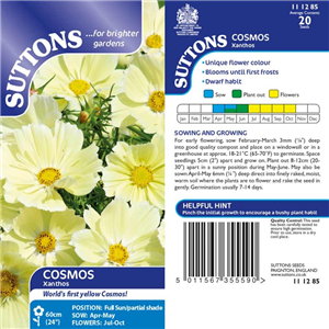 Cosmos Xanthos